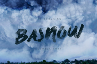 Basnow Grunge: A Real Designer's Project Review