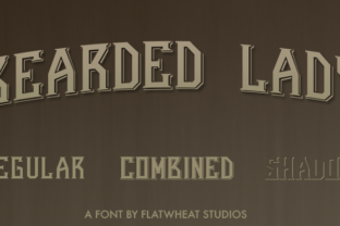 Bearded Lady: A Display Font with Grit and Grace