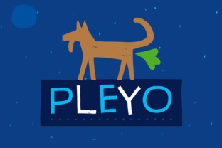 Pleyo: A Warm Display Font for Handmade Products
