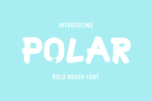Polar: A Crisp Display Font for Modern Web Design