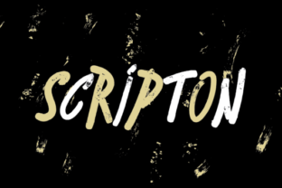 Scripton: A Bouncy Urban Brush Font for Bold Branding