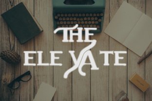 The Elevate: A Display Font That Elevates Campaign Visuals