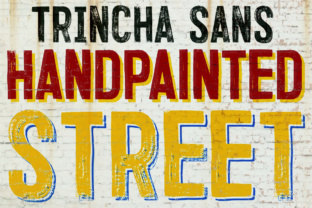 Trincha: A Hand-Painted Brazilian Font for Makers